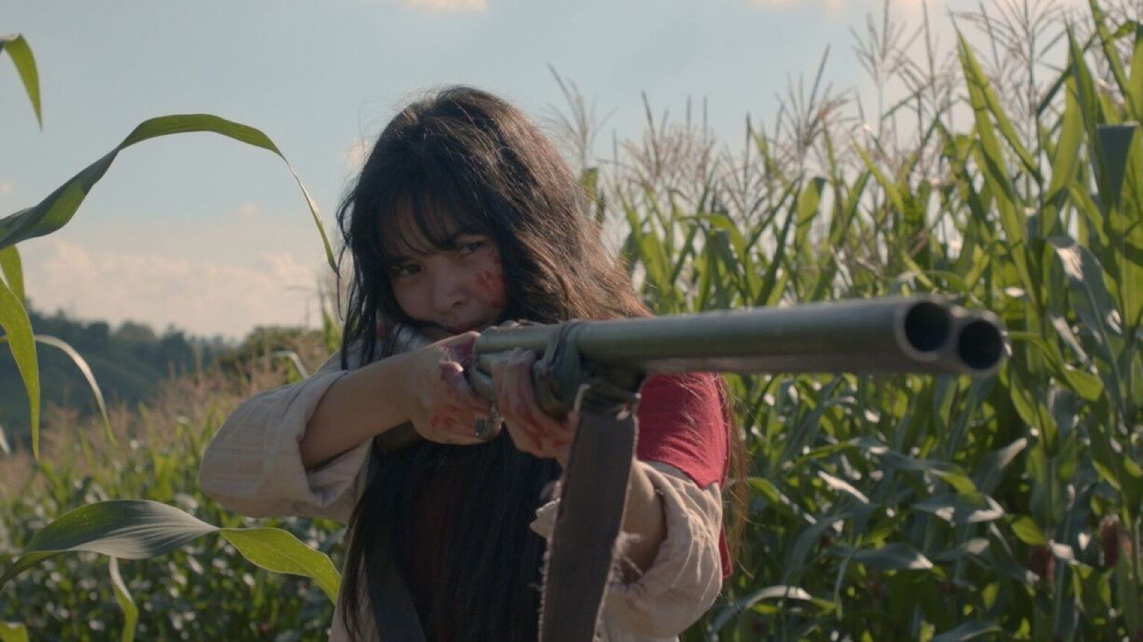 Right on target: A review of Birdshot